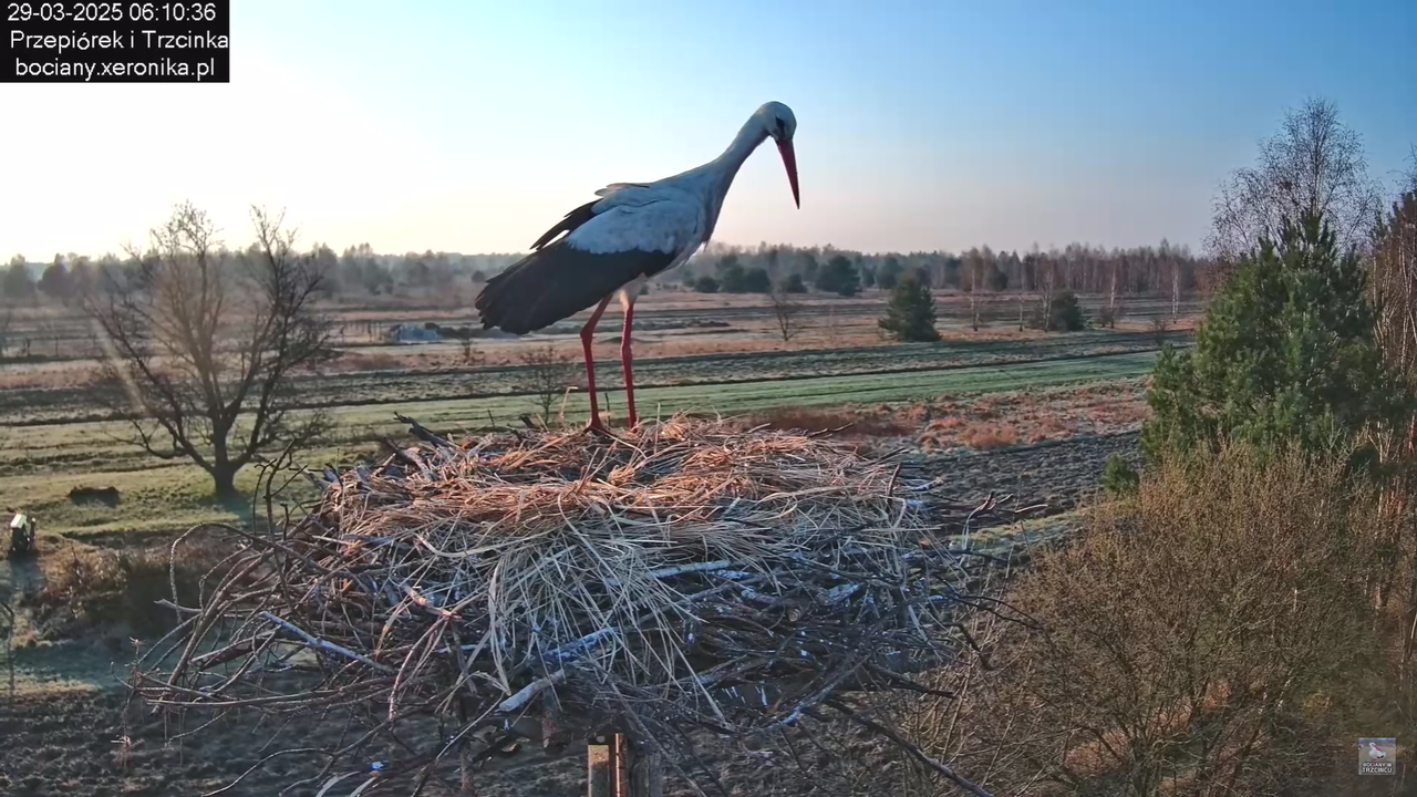 29032025porannezamieszanie_1