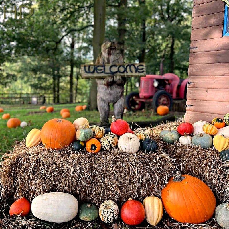 Pumpkin-farm-2.jpg