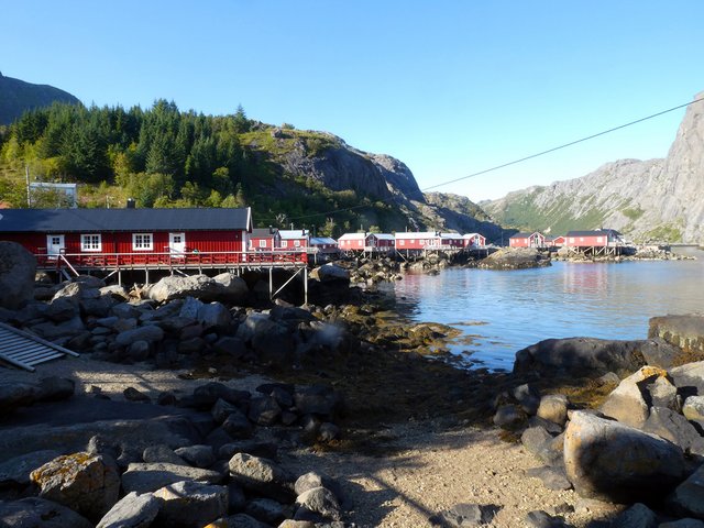 DÍA 7 – LOFOTEN: HAUKLAND-UTTAKLEIV-NUSFJORD-FLAKSTAD - 12 días por Noruega: Bergen - Tromsø - Islas Lofoten - Oslo (15)