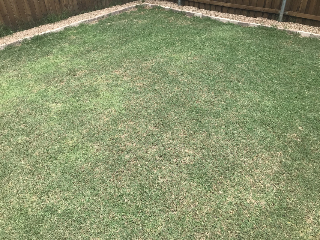 5F010E8B-9E4A-4A81-906D-04795BEEF56E