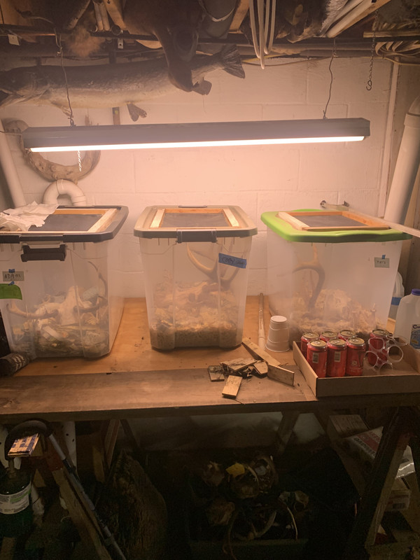 B5534B61-55E8-4EA5-B061-41DFE69BCF8D