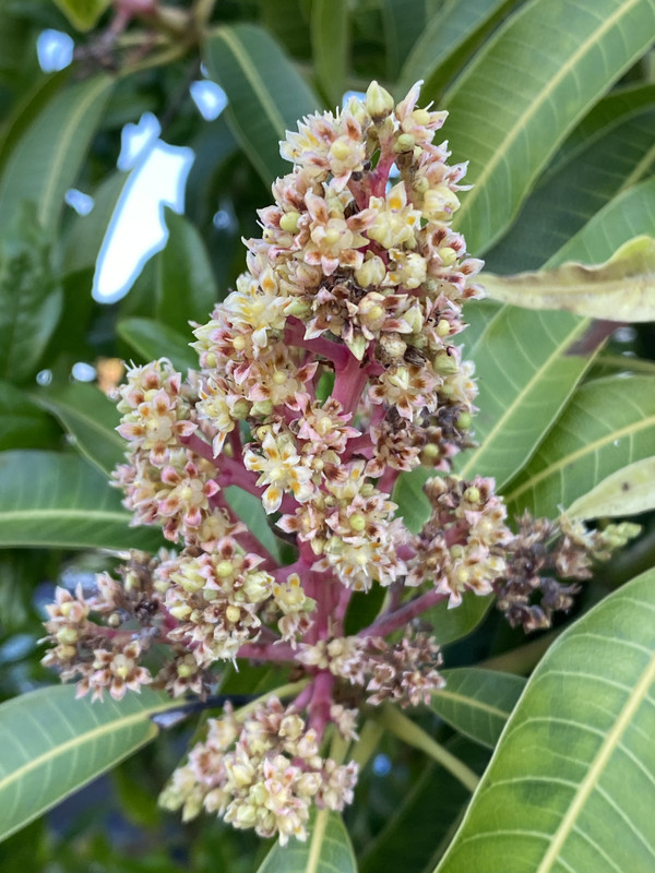 7C64D2C1-75ED-4BBC-9D37-819B4EFFC584