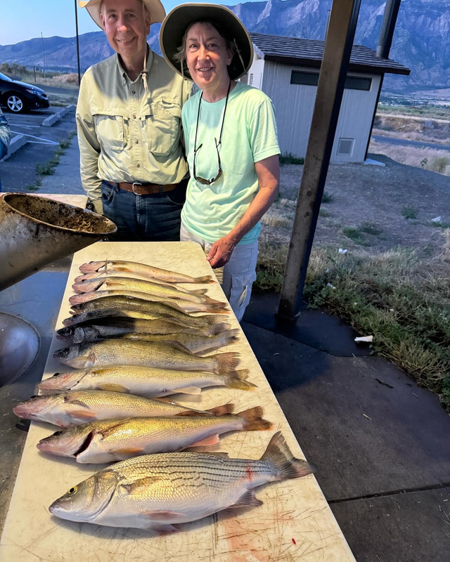 36D9C974-37CA-4FF8-A714-B1204C325A2C