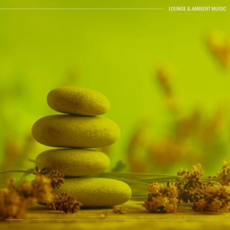 VA - Lounge & Ambient Music (2022)