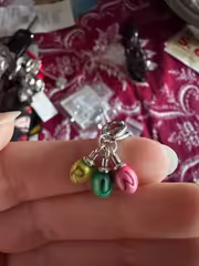 Customer review photo 17