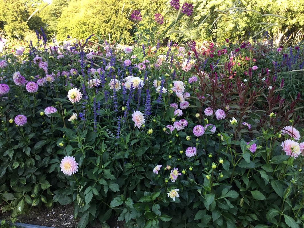 953CC11C-1F0D-4508-89AA-91B9BD8B6941