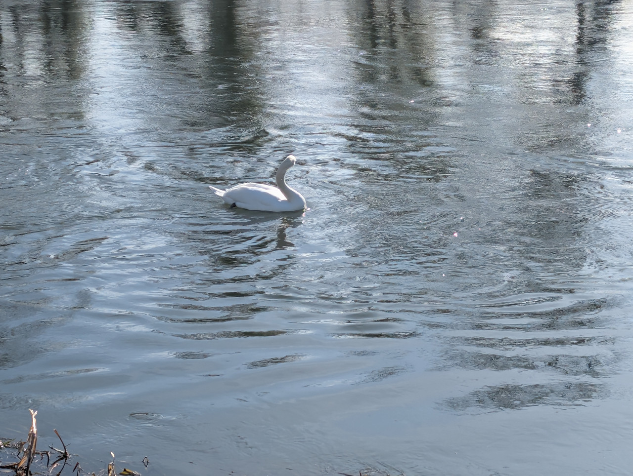 PXL 20260207 111533021