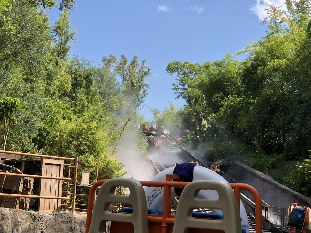 8083EF46-526F-4F21-AE7A-CEFF4DC42692