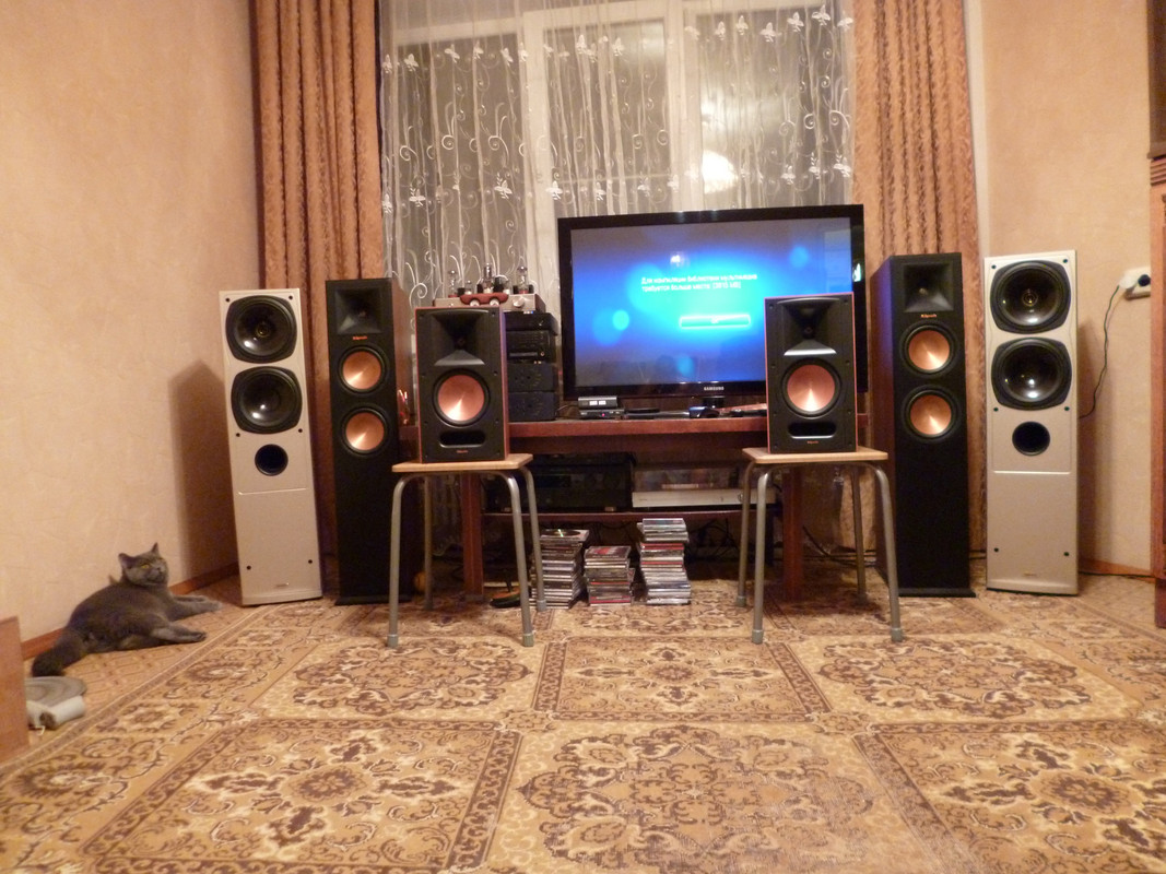 вся акустика и кот