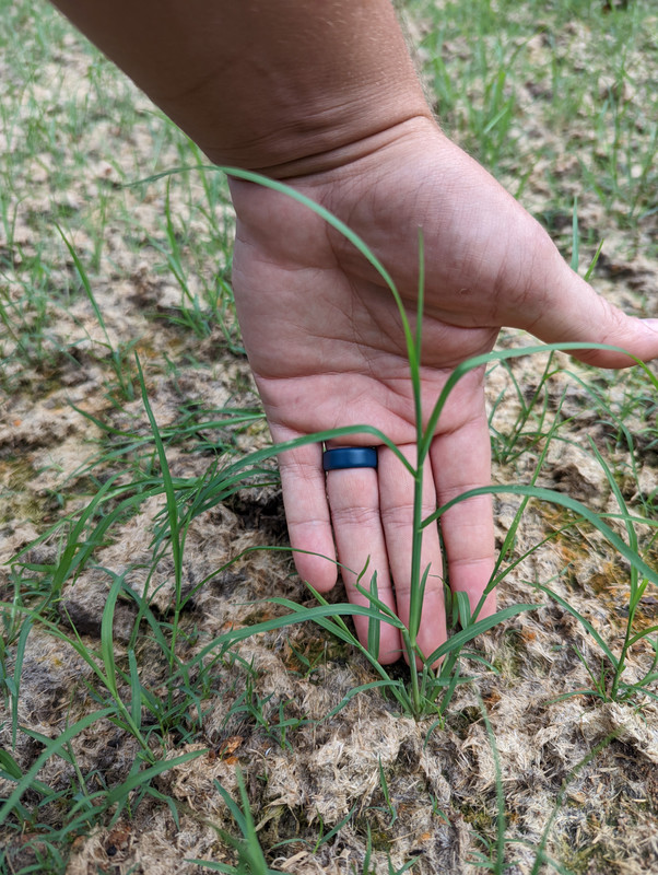 PXL_20220729_232902799.MP