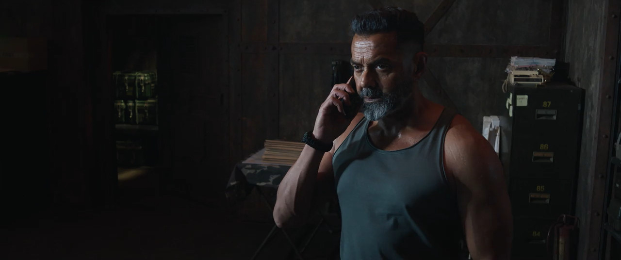 Alpha 2026 WebRip [Hindi] 480p 720p ESub Screenshot