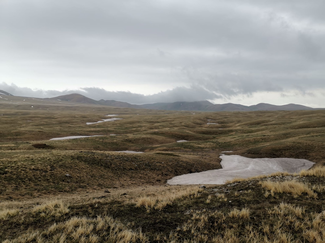 6C719C95-BDF3-46E9-931D-EC9FA91DEACD