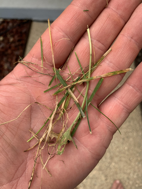 51B516A1-482B-4CA0-8467-812129D56C21