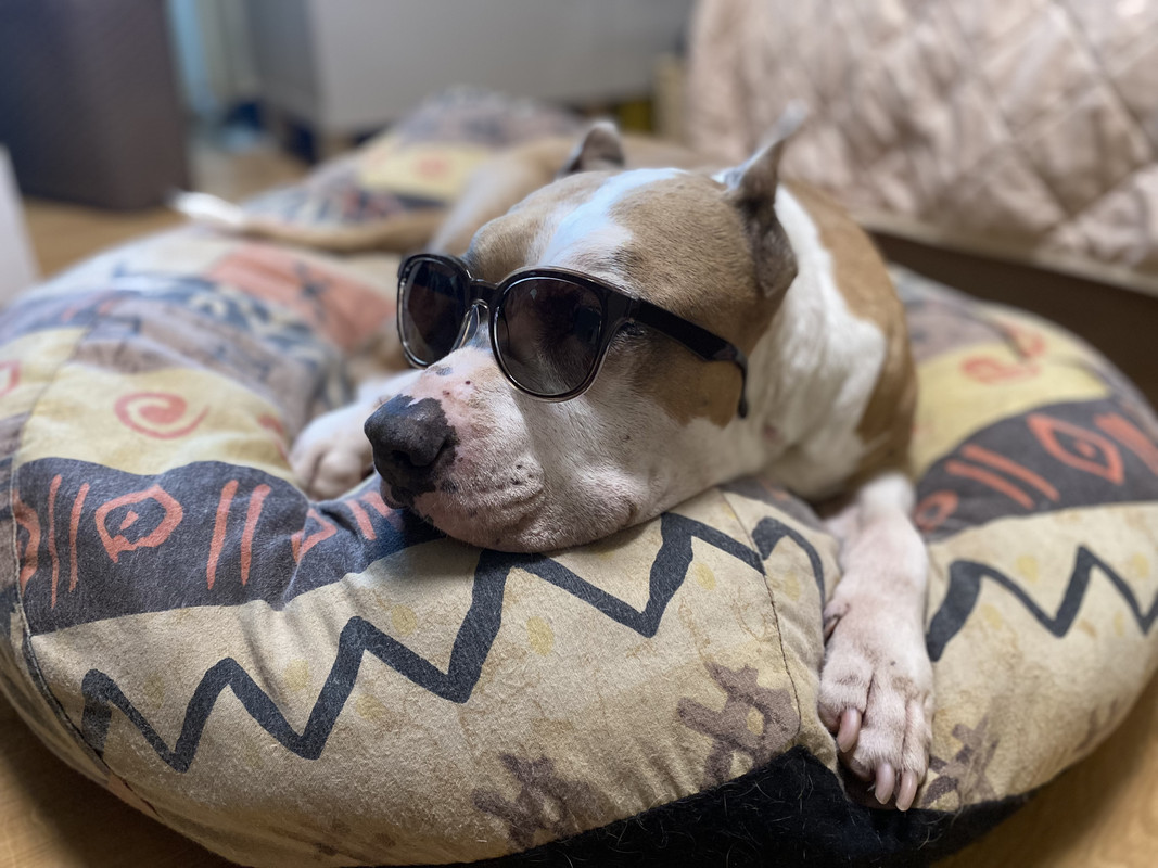 7FE4ADC7-DDA5-4A0A-AA99-D1634613B89D