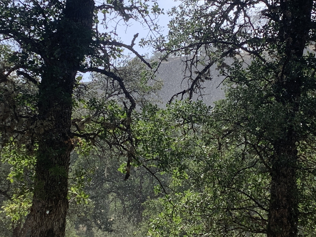 F8027882-6BB9-45DA-985C-4F6347E6FE1E