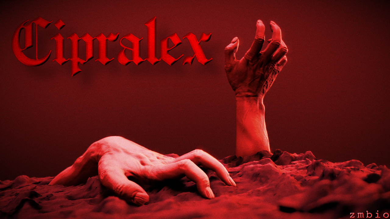 [Image: banner3-2-2.png]