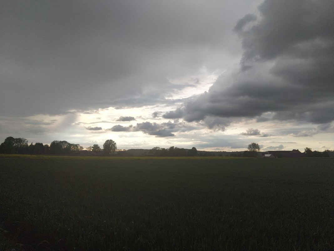 photo5852627595412223988