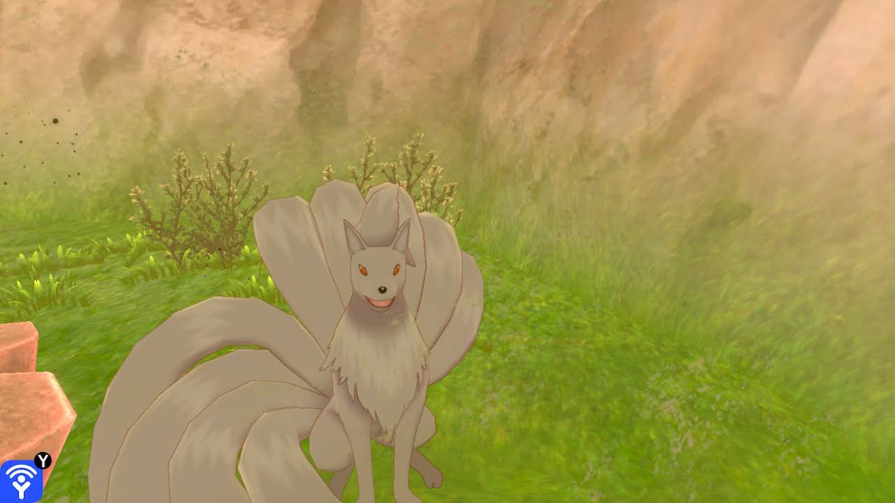 2020121119545400-3-C66-B776-DB1-AA063230