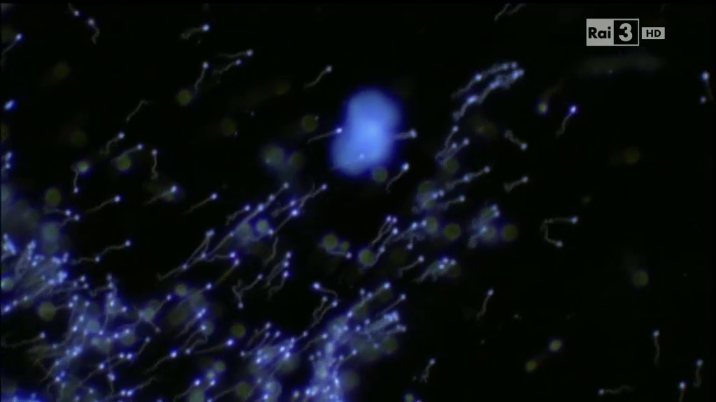 vlcsnap-1927-04-29-13h53m57s347