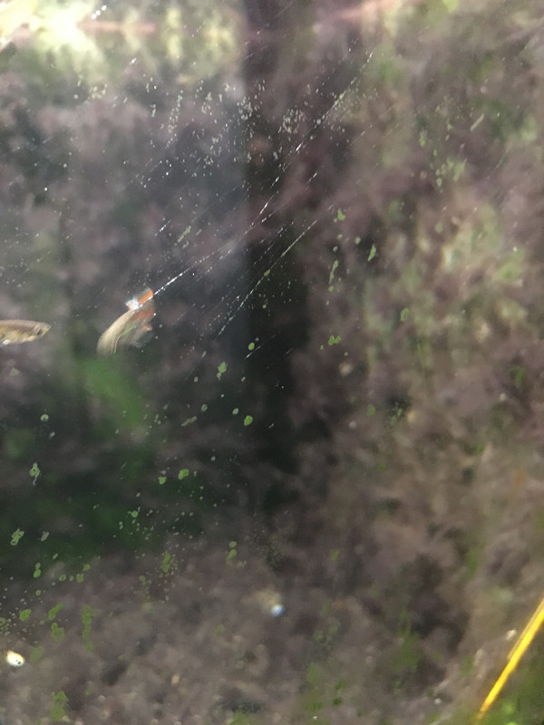 E95450D3-04A6-49B7-9792-9F9C824F1295