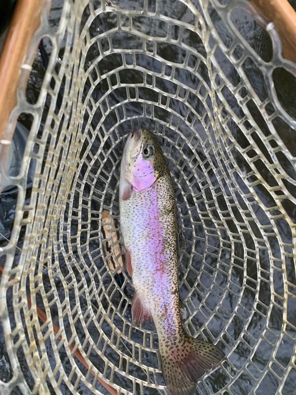 60AFD65B-FA4B-4494-8918-68C88708F315