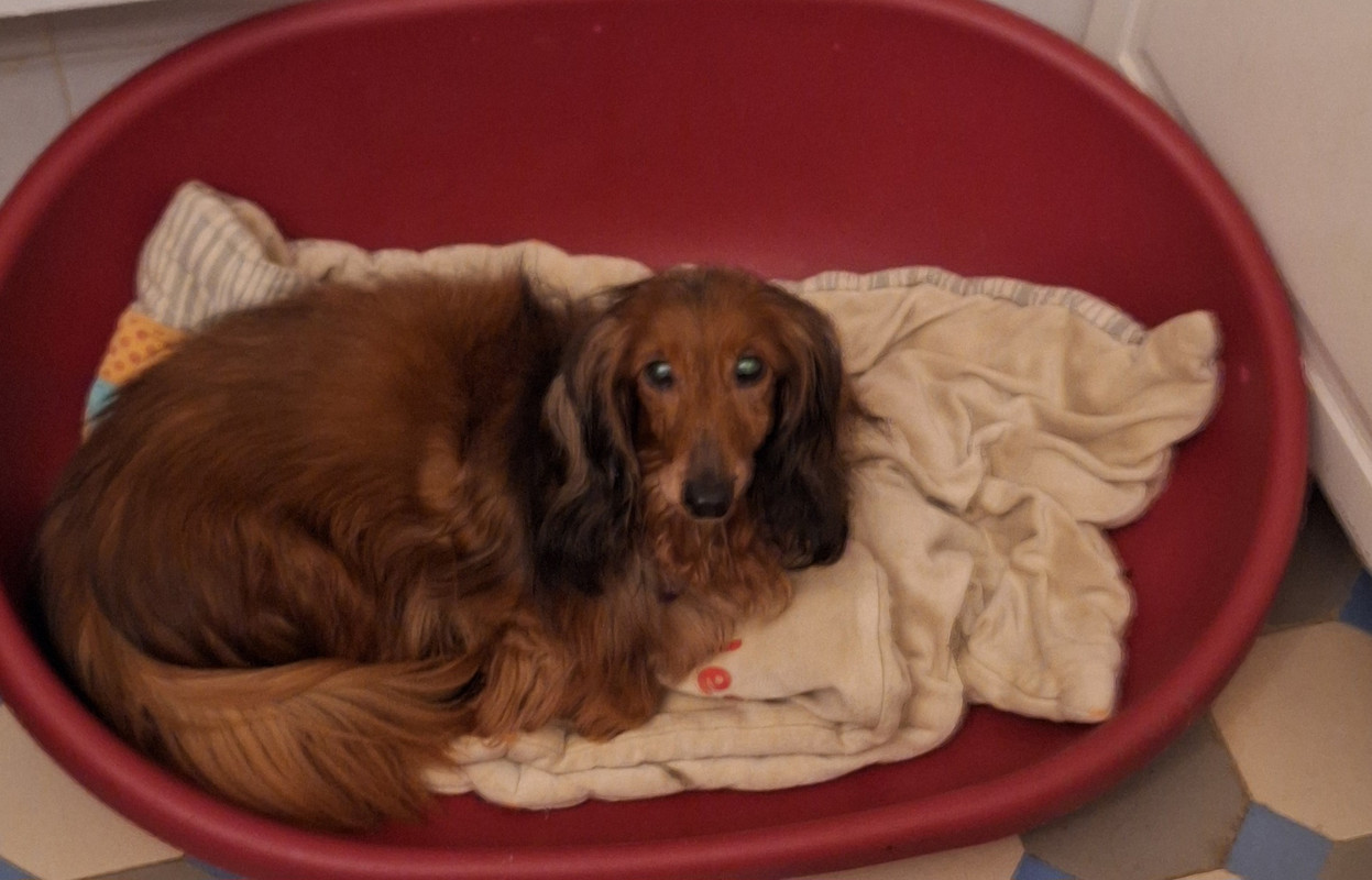 [Image: 20250209-195521.jpg]