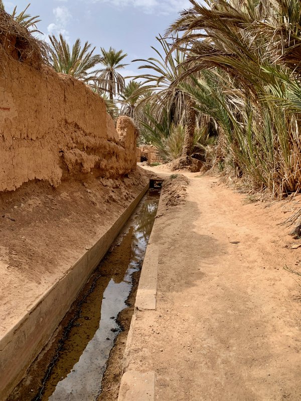 Gulimime y el oasis de Tighmert - Sur de Marruecos: oasis, touaregs y herencia española (12)
