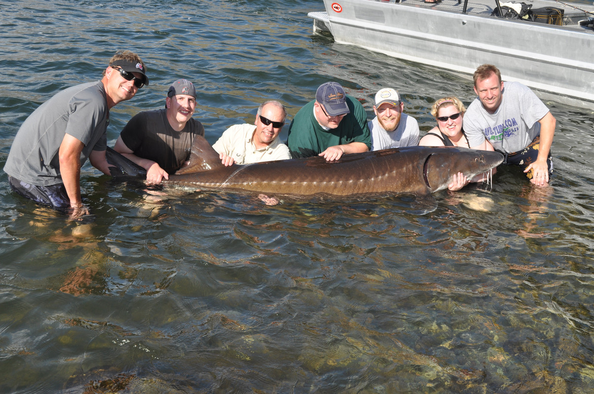 ADA598AB-98FB-4F3F-9683-FAFF3938ADCD