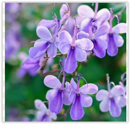 Screen Shot 08-25-23 at 10.10 AM