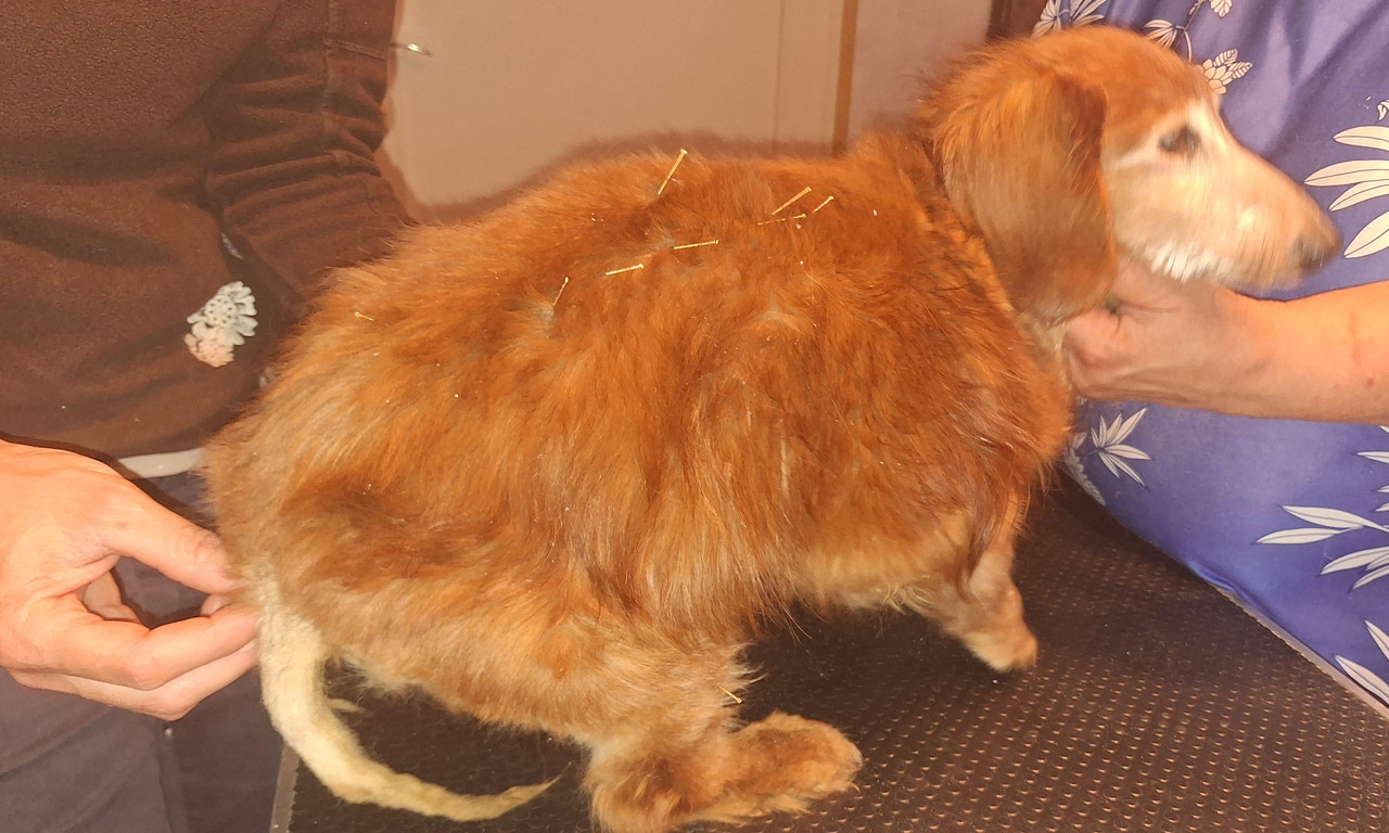 [Image: 20240831-092913.jpg]