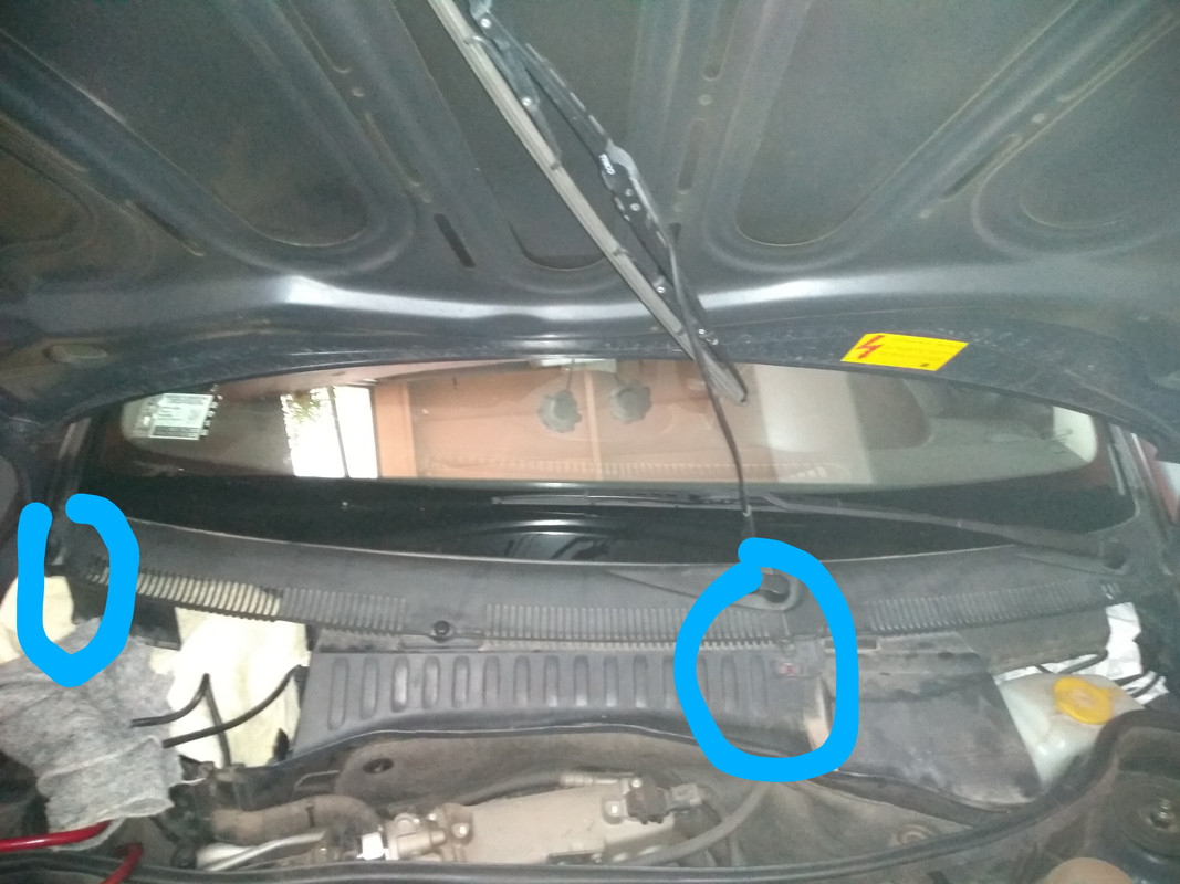 IMG_20200707_160827519~2