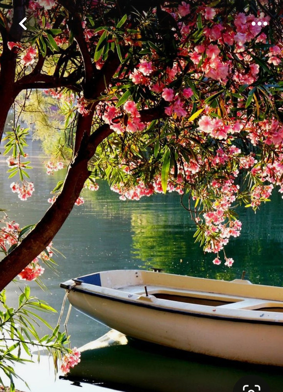 Screenshot_20240305_223437_Pinterest