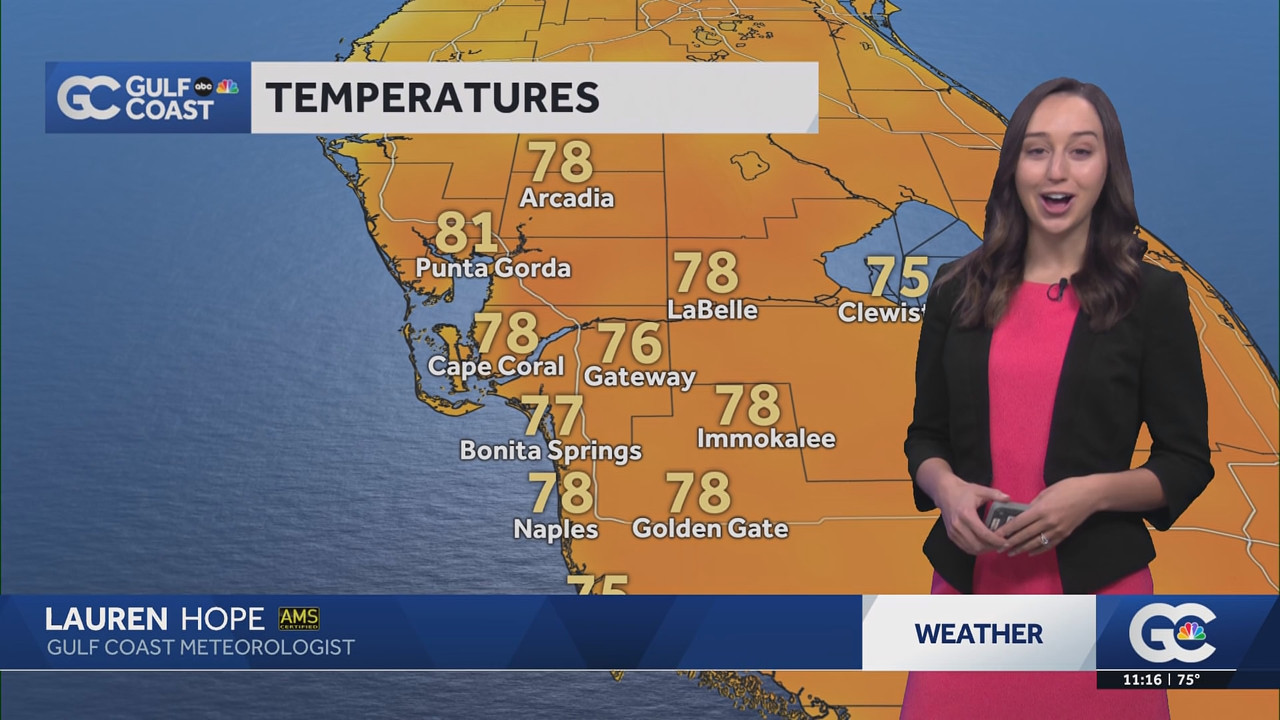 NBC 2 News at 11_20250205_16001700.ts_snapshot_17.17.026