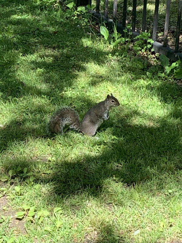 C8E62DFB-1789-420F-84B2-4758BB325211