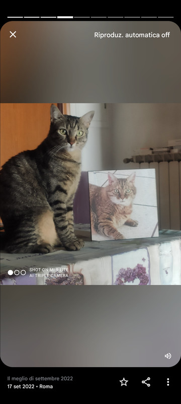 Screenshot_2024-09-02-21-27-53-637_com.google.android.apps.photos