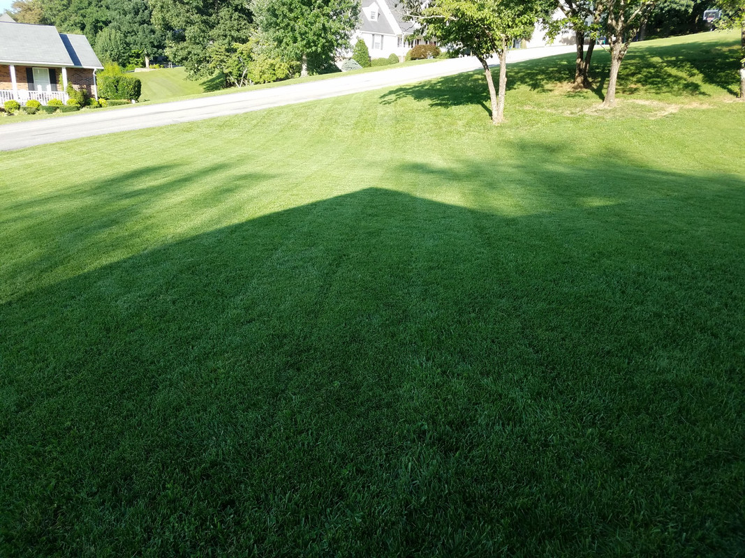 40D08F9B-4DC5-4F21-9493-2FBC0E558857