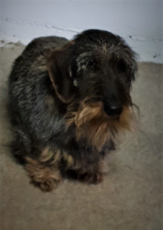 [Image: 20210506-160435.jpg]