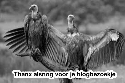 gier