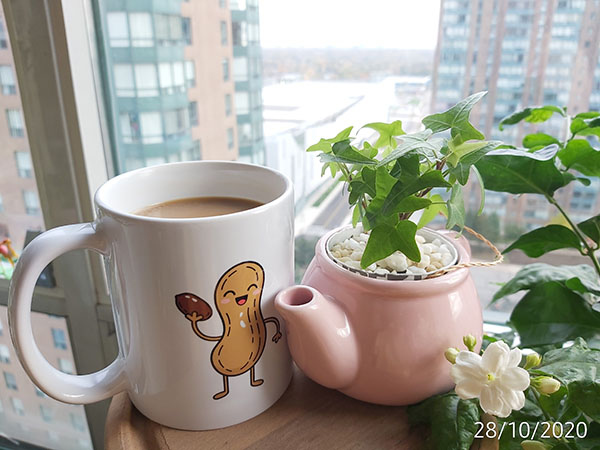 [Image: IMG-20201028-090201.jpg]