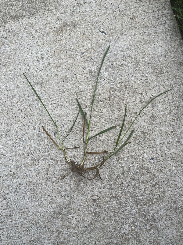 C4AFB30E-72EB-4BAA-B941-1E8006F9DB34