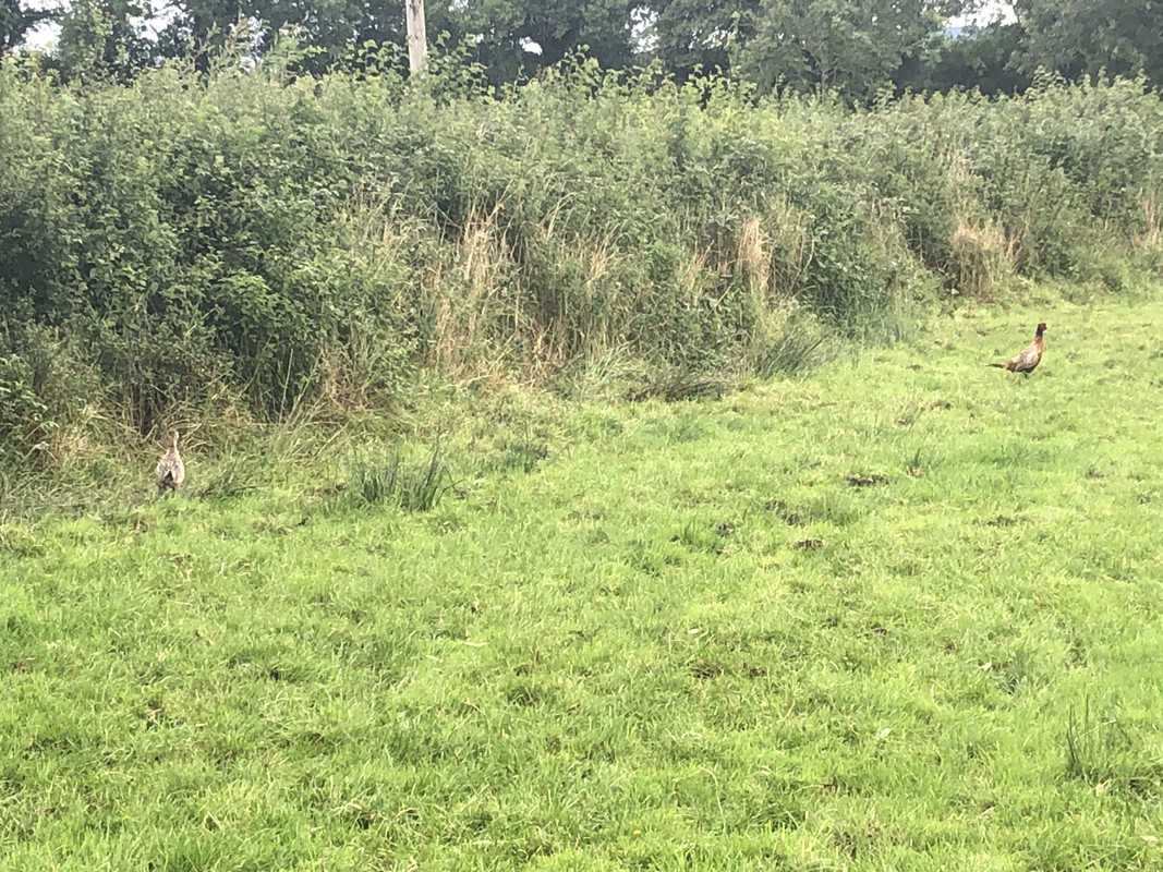 2BBDBA6A-C65B-47CD-BA8E-2CF7CF0B195C