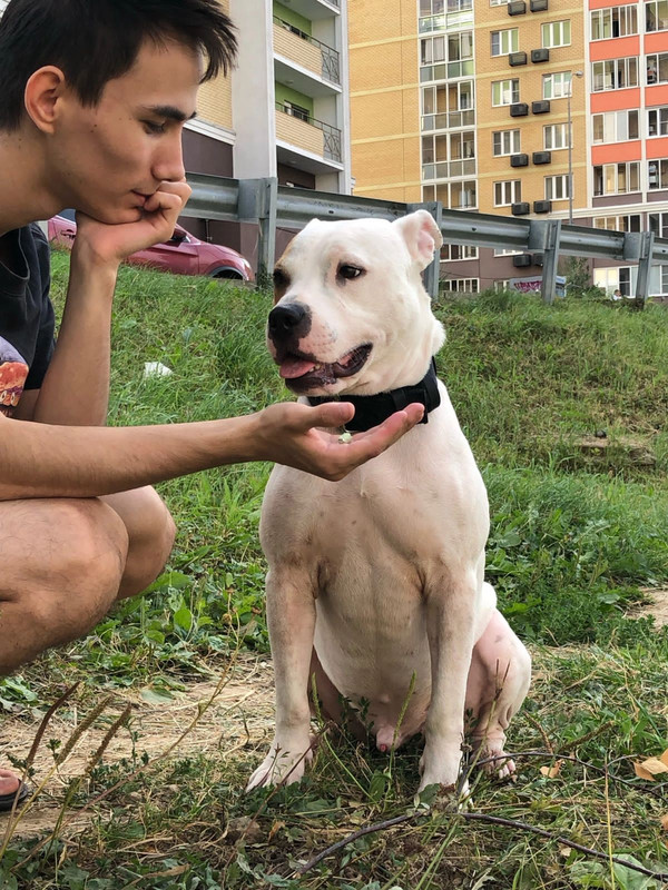 90BAADCC-31D0-47B3-A674-12D8DD5BAD11