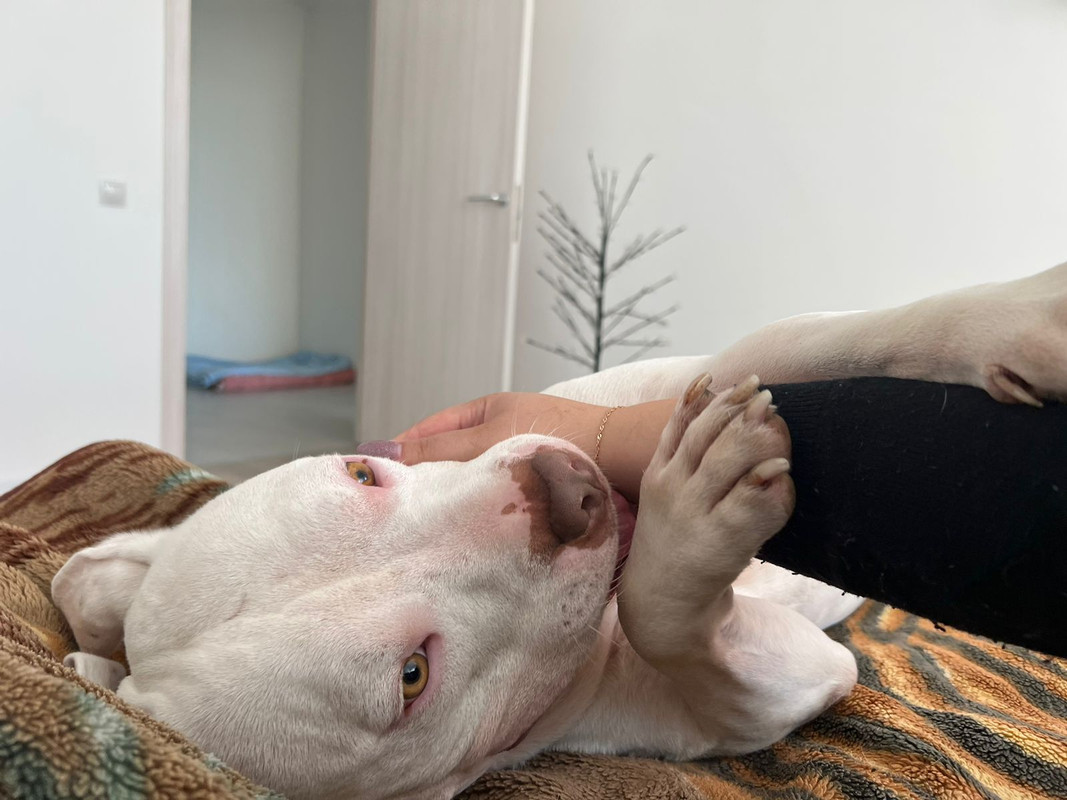 A5AB6739-42D5-464C-B852-3DE430E83A4F