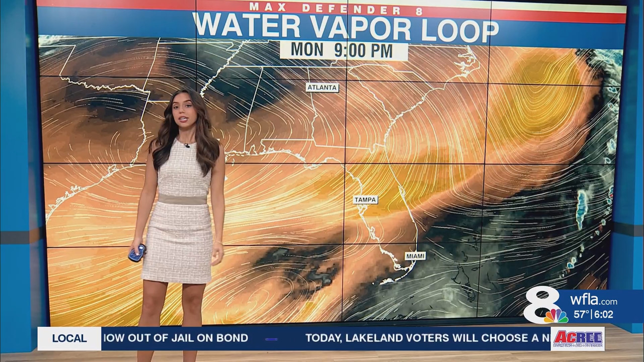 News Channel 8 Today at 6a 20251104 11001200 ts snapshot 00 03 10 800