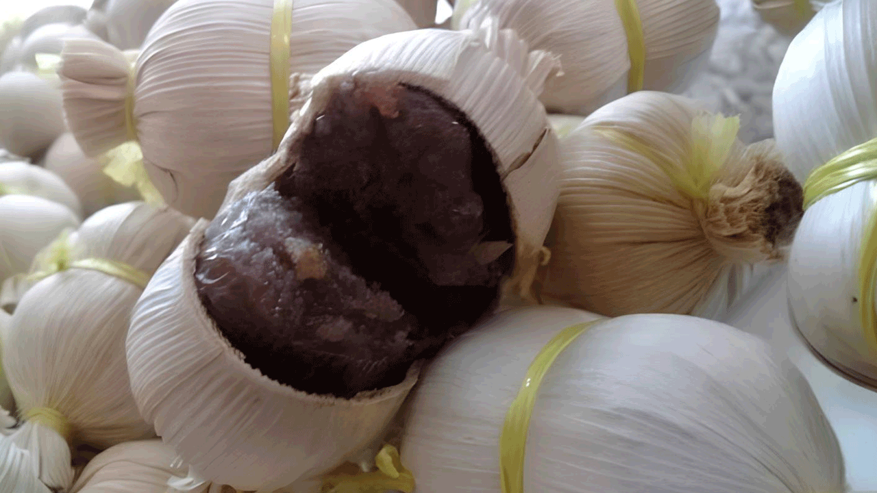 Gula Kelapa Buton: Manisnya Warisan Dari Kota Bau-Bau, Sulawesi Tenggara