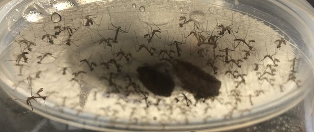 D1A8FA95-86A1-4F52-97A3-D1DA19D1CD8C