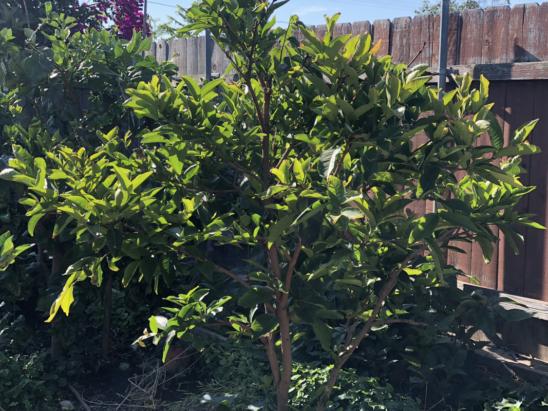 58884C98-B818-4FE1-A643-20A0A8499A30