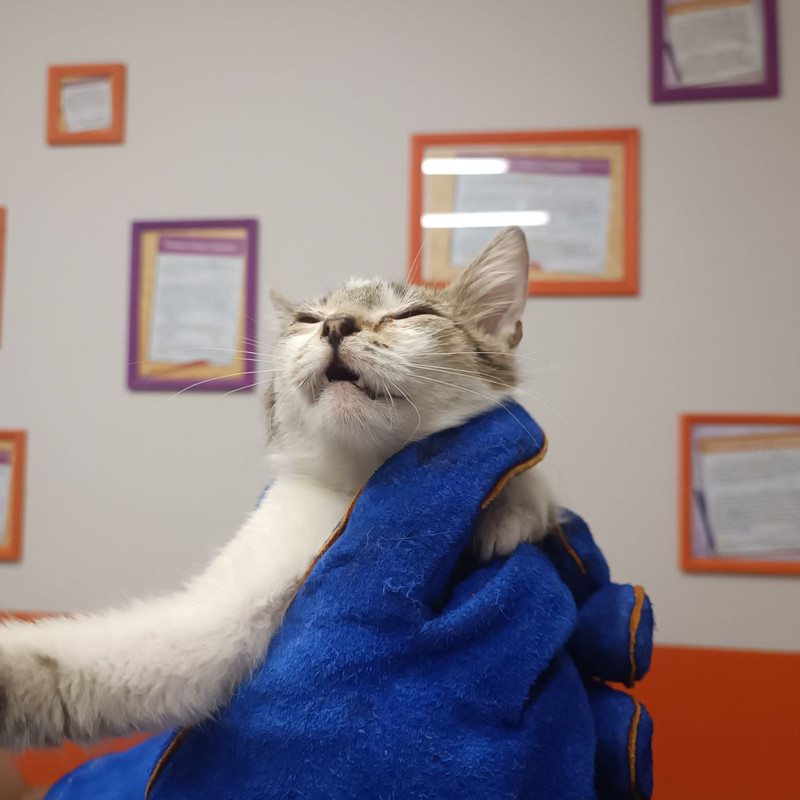 photo_2024-06-20_00-20-46