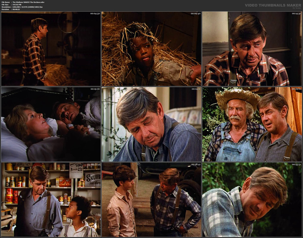 The Waltons S06E03 The Recluse.mkv