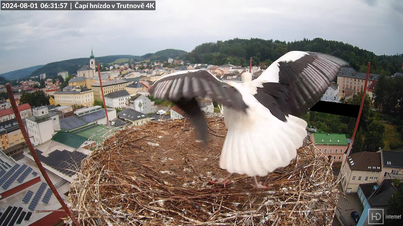 Tiešraidē no stārķa ligzdas uz alus darītavas skursteņa Trutnovā 5-42-47 screenshot